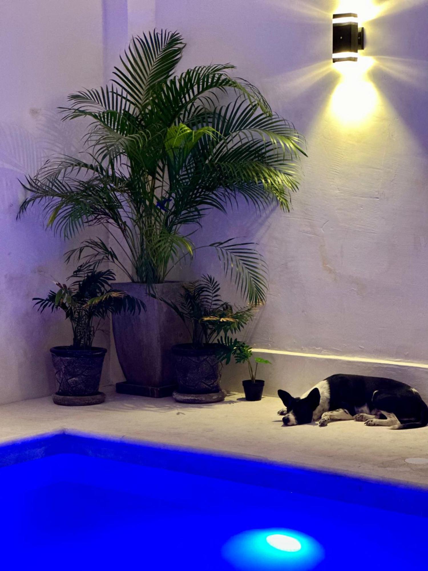 Hotel Casa Prisca Coyuca de Benitez エクステリア 写真